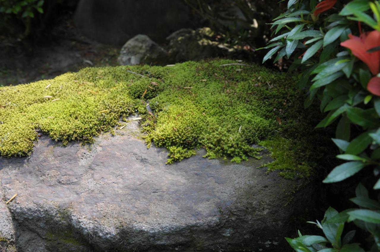 Historical Ryokan SENYUKAN Owani Bagian luar foto