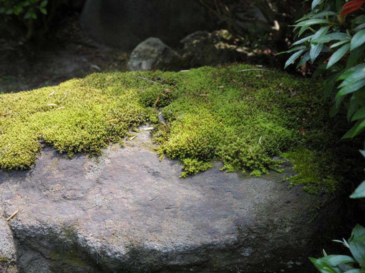 Historical Ryokan SENYUKAN Owani Bagian luar foto