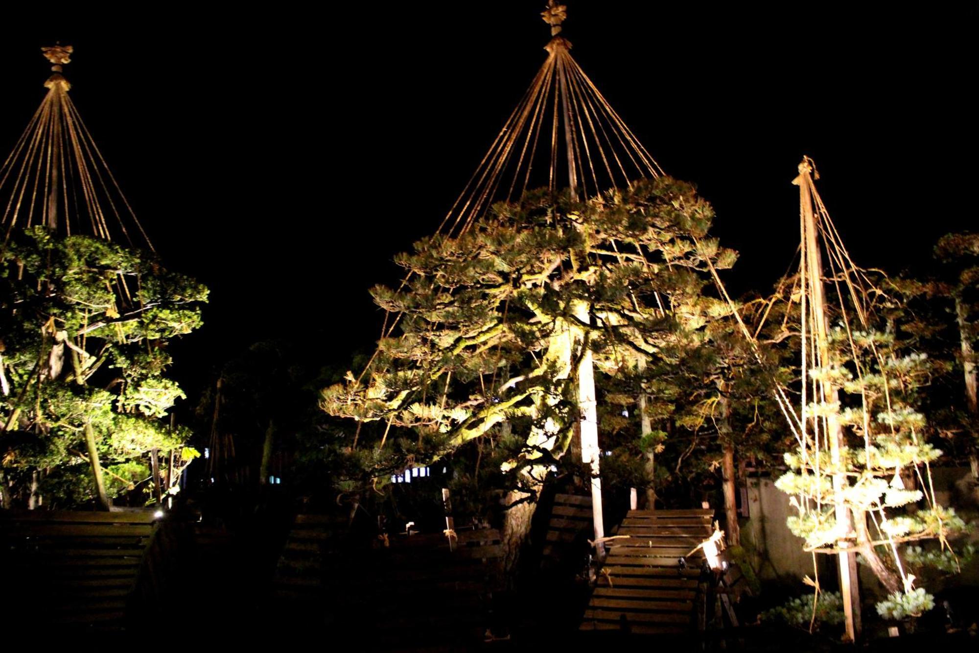 Historical Ryokan SENYUKAN Owani Bagian luar foto